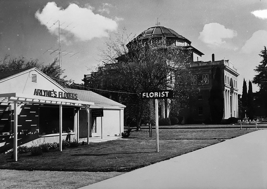 Arlyne's Flowers &amp; Gifts, Since 1950