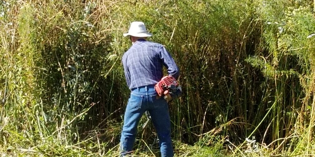 Santa Margarita Holds 15th Annual Creek Clearing