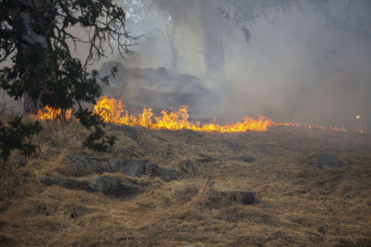 10 Acres Burn in Brush Fire