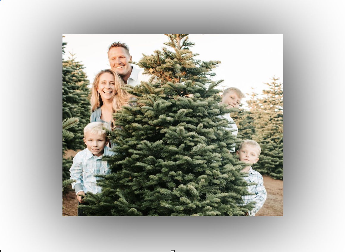 Agape Christmas Trees Moves to New Location