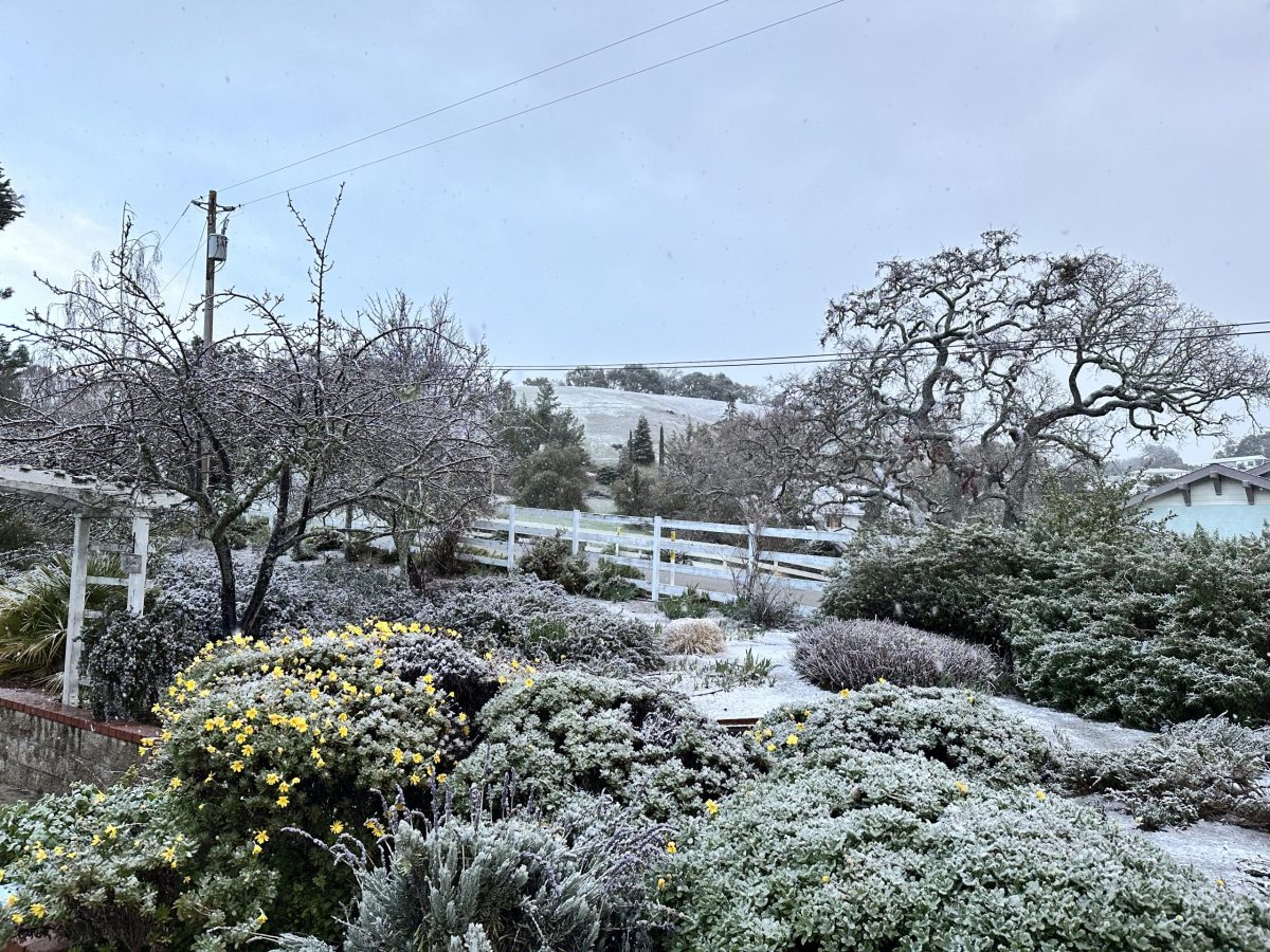 Snow Makes Rare Appearance in North County