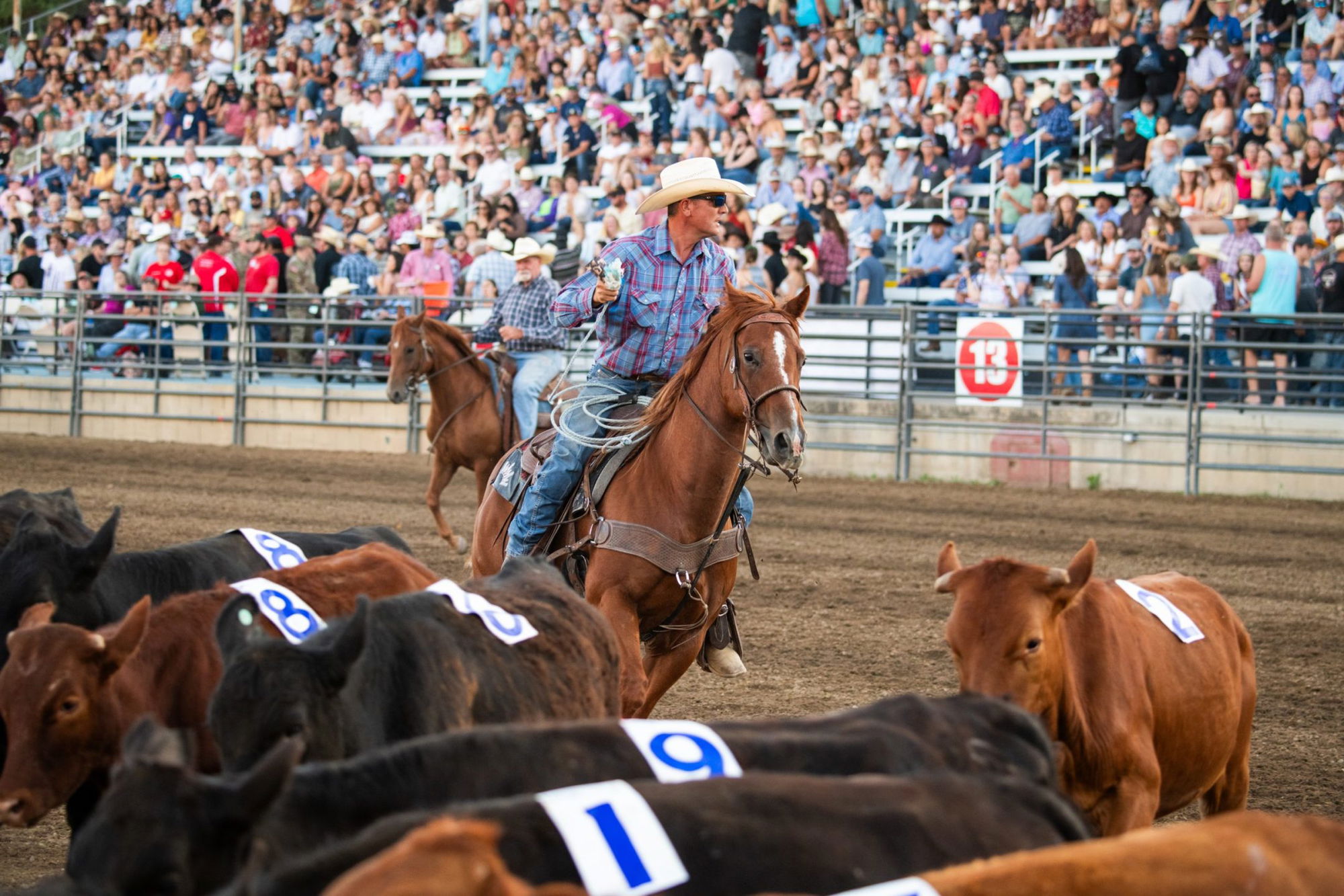 California Mid-State Fair competition handbooks now available