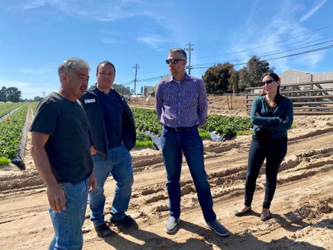Iconic Grover Beach Farm Stand Opens After Rain Delays Strawberry Harvest