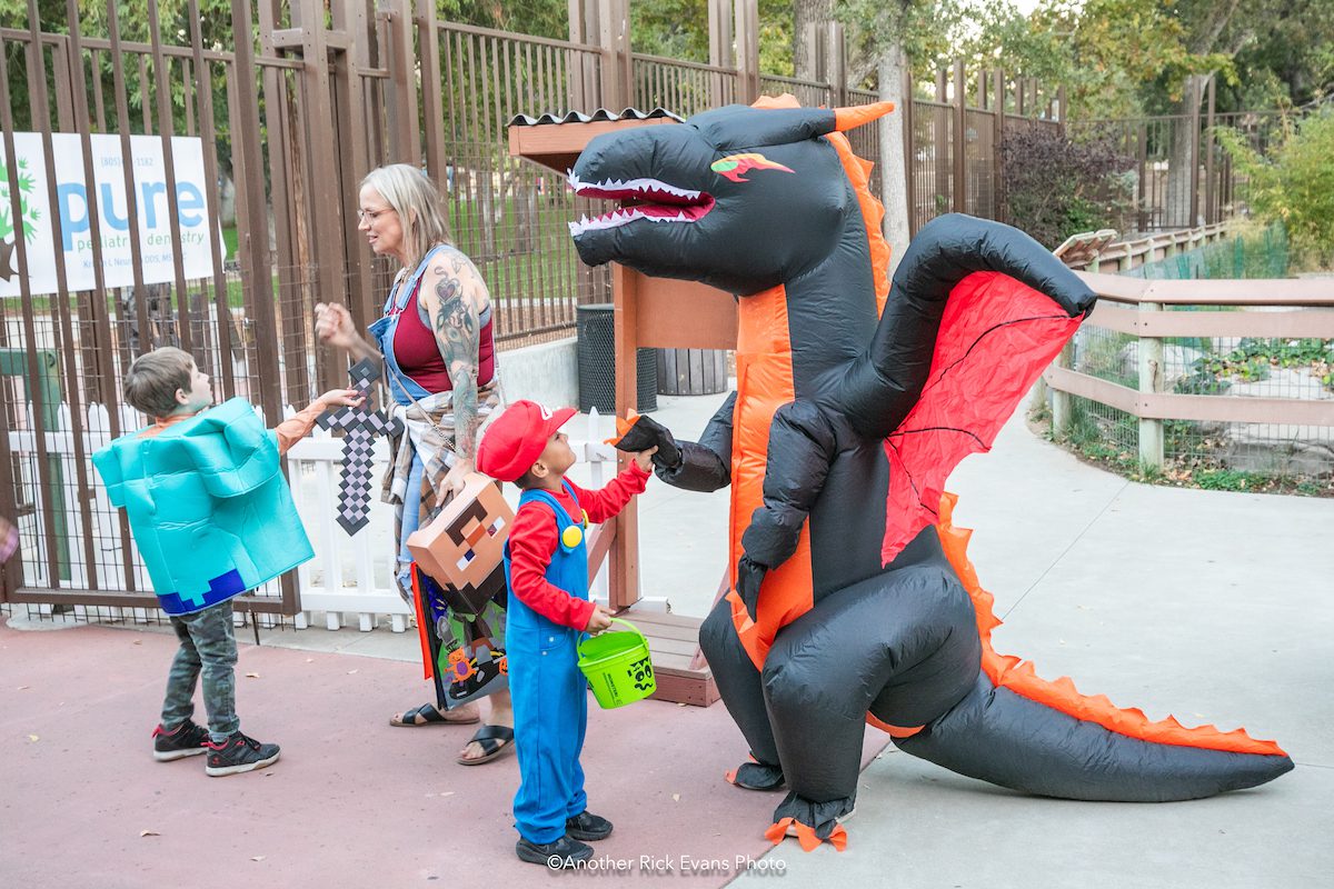 Charles Paddock Zoo announces two nights of Halloween fun