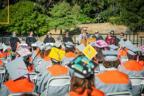 Over 250 Greyhounds get their diplomas