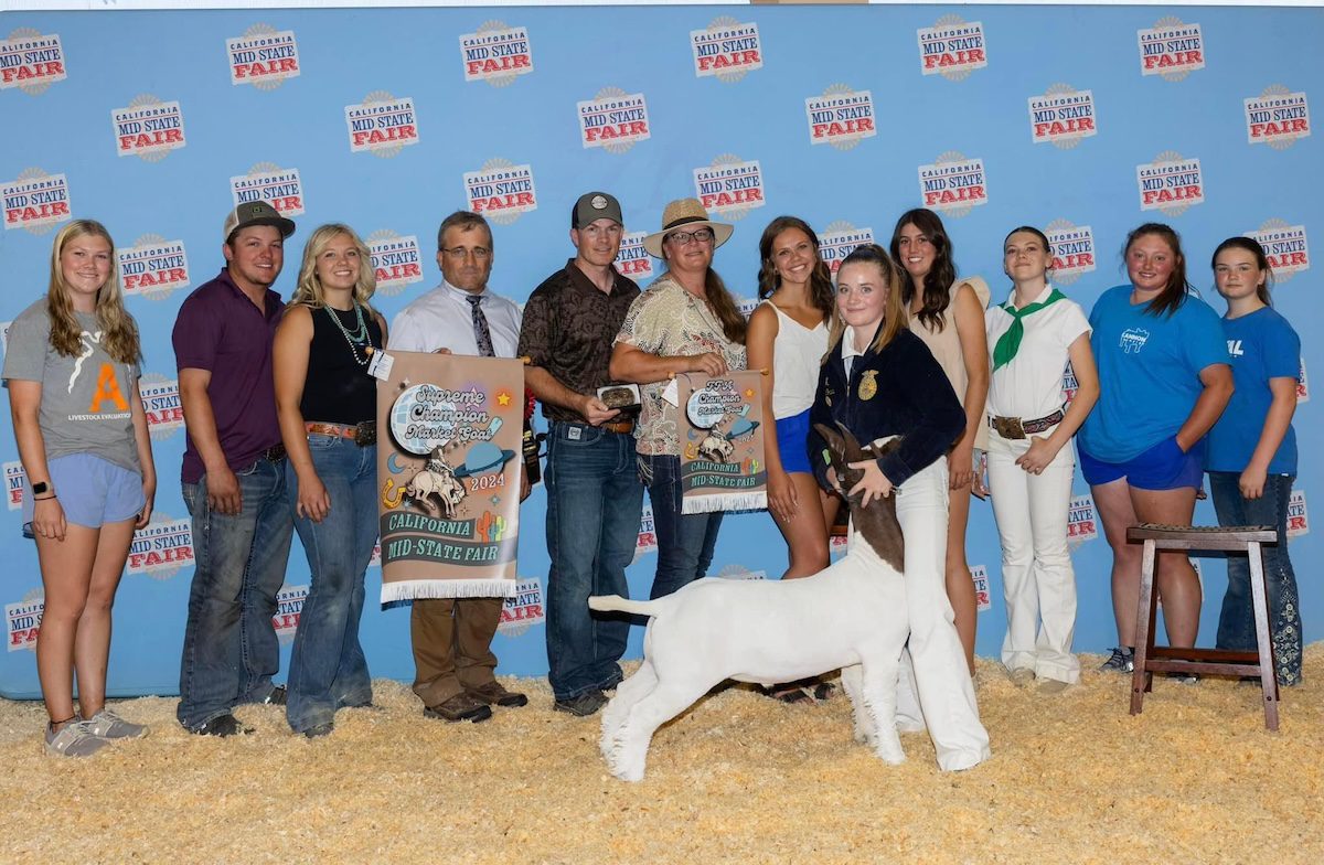 Atascadero FFA rounds up California Mid-State Fair success