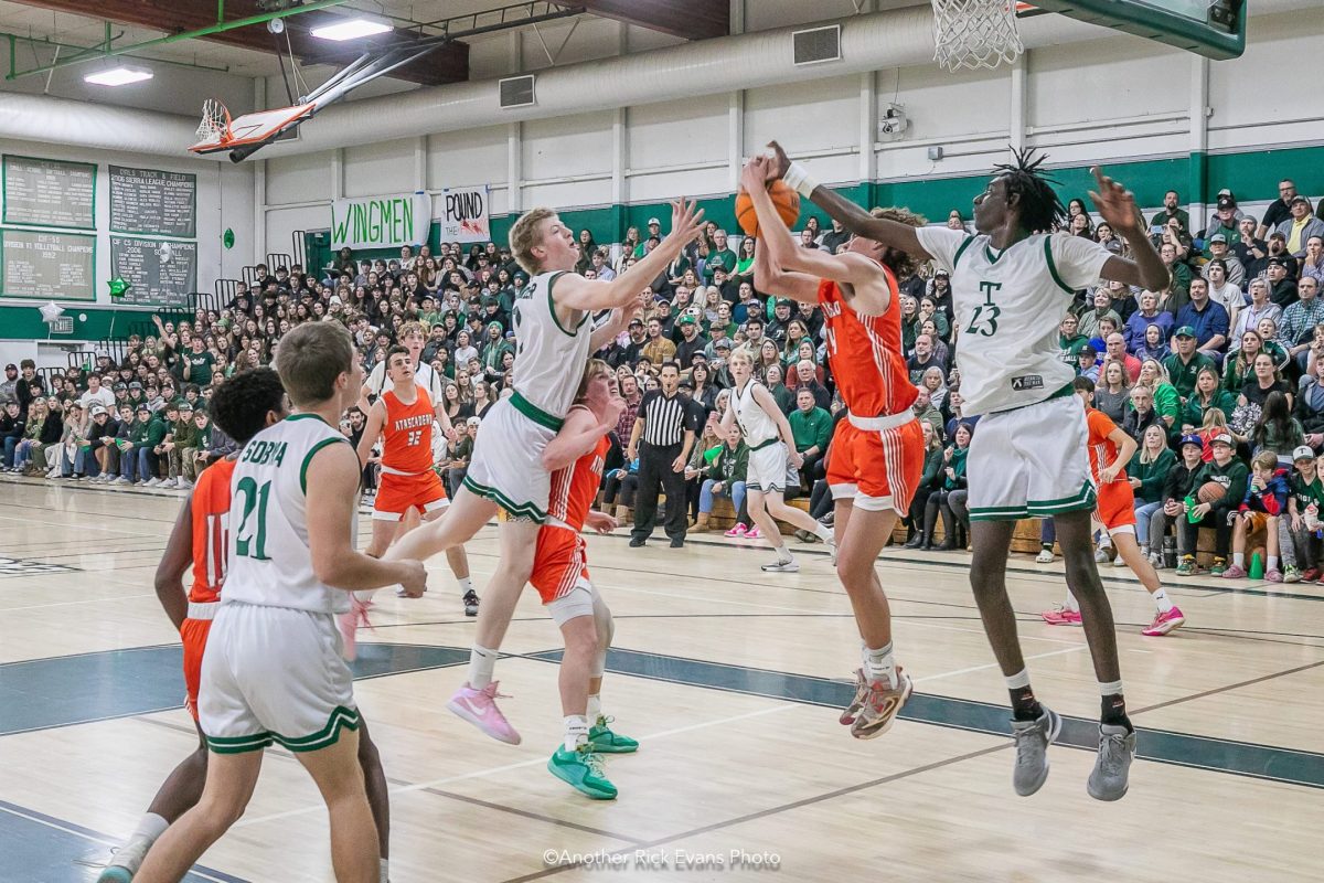 Eagles defeat Greyhounds in basketball rematch