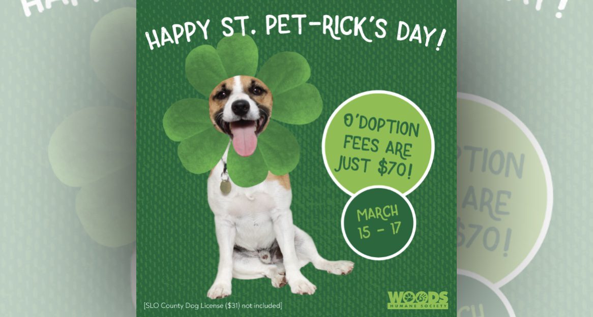 Woods Humane Society starts St. PET-rick’s Day adoption promotion