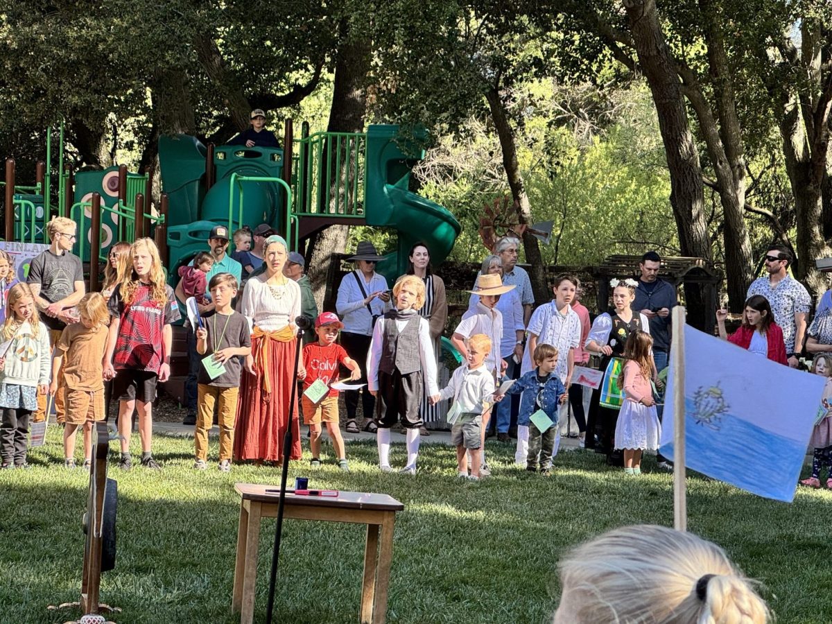 A world of wonder and curiosity