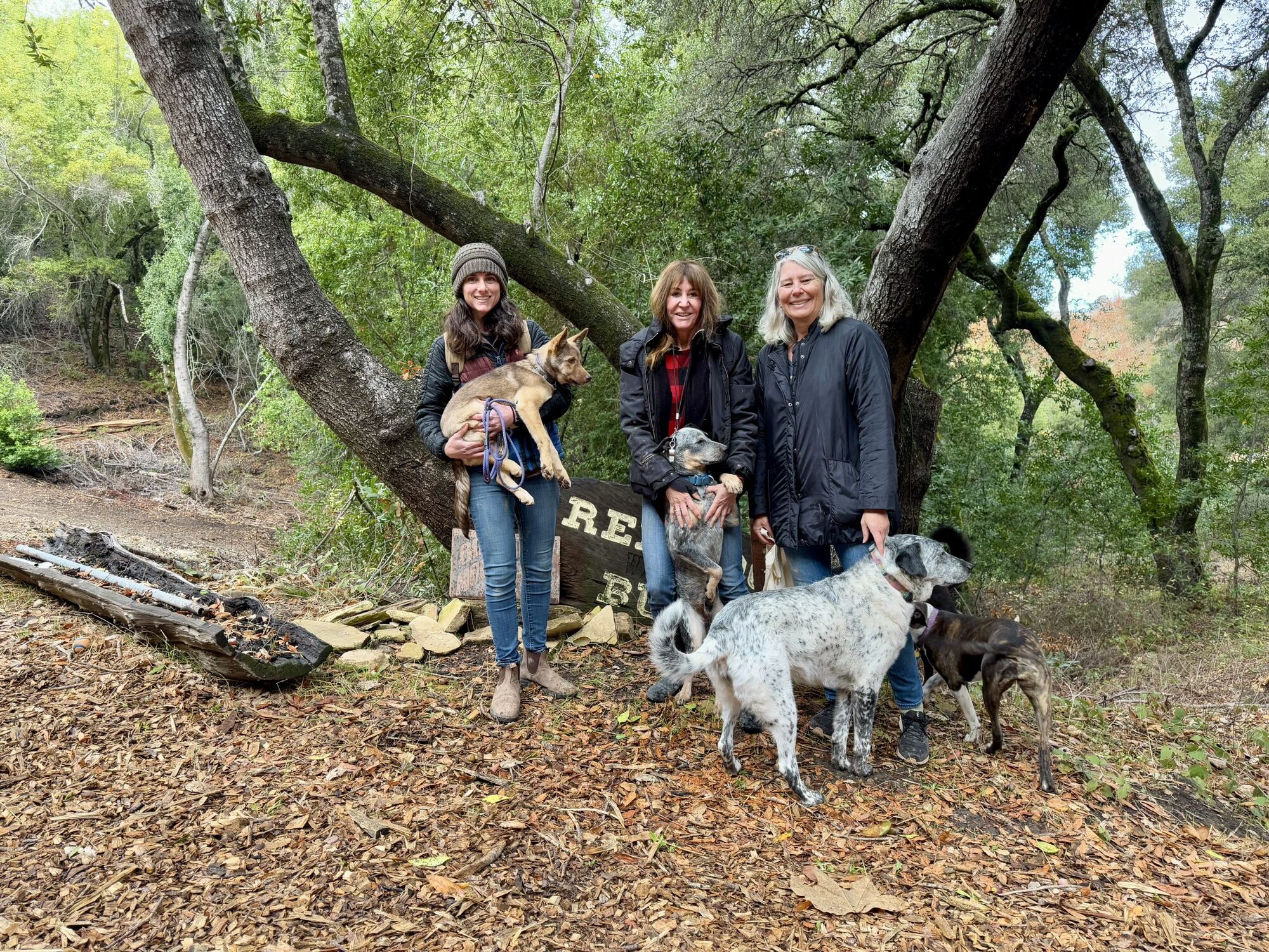 Rescuing Hope: Central Coast Herding Dog Rescue saves thousands