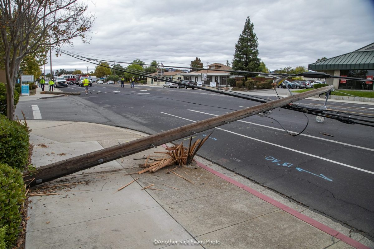 Power pole collapse on El Camino Real causes traffic disruption
