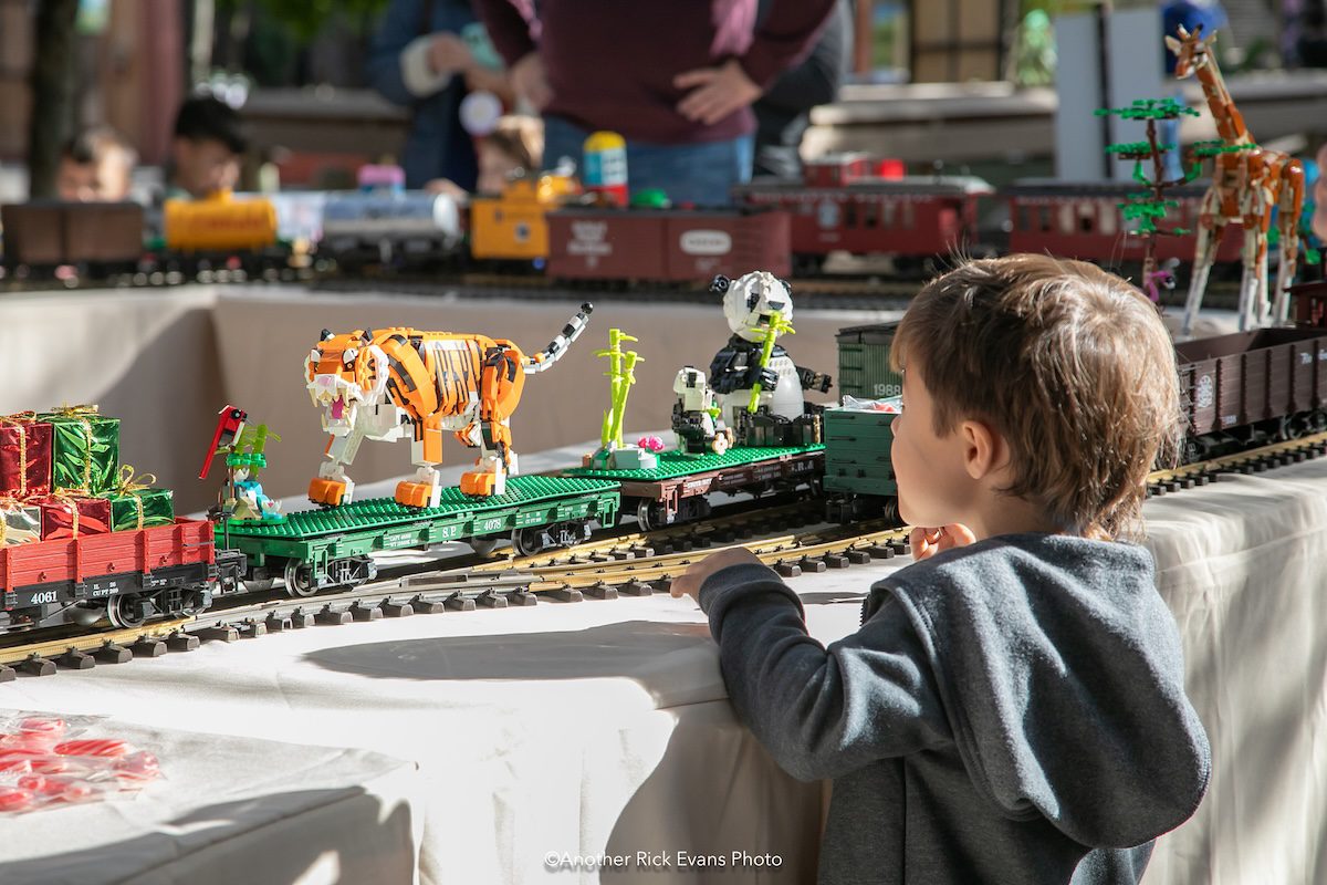 Families turn out for Holiday Magic at Central Coast Zoo
