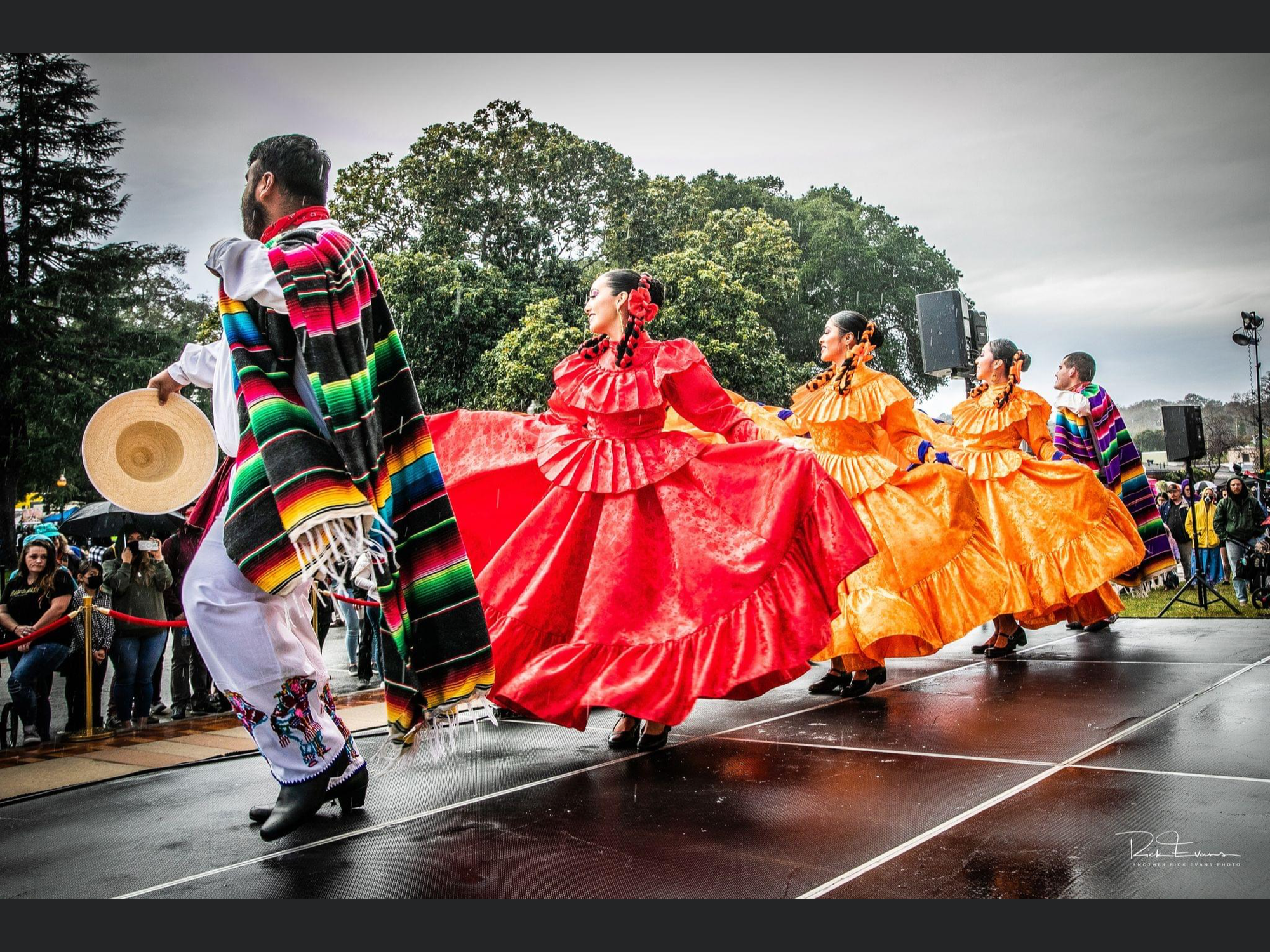 Tamale Festival Canceled