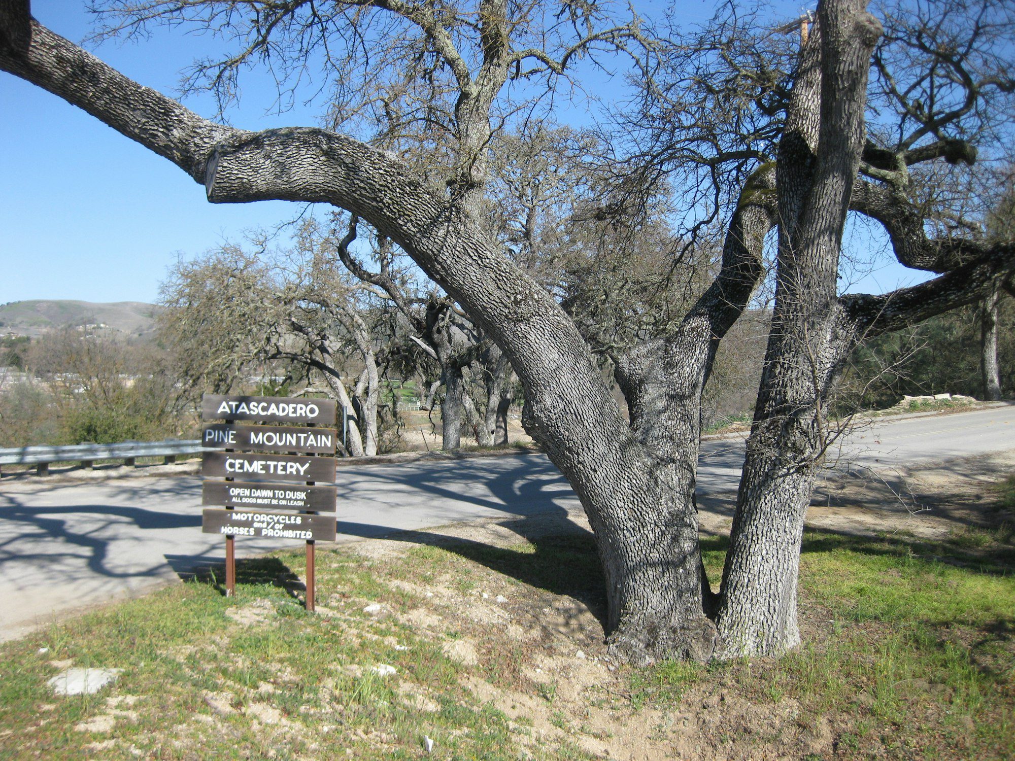 Atascadero Cemetery announces updated flower policy and gravesite clean-up