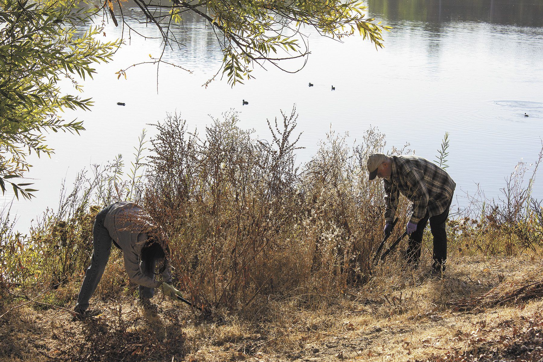 Volunteers Work to Beautify Atascadero Lake