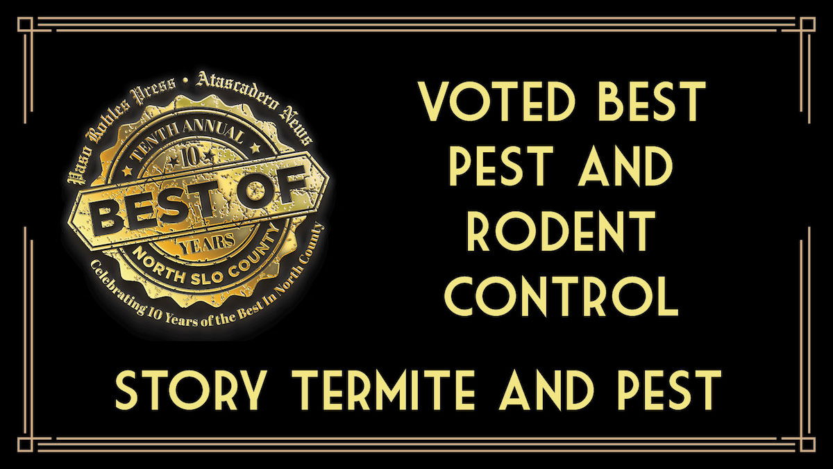 Best of 2023 Winner: Best Pest and Rodent Control