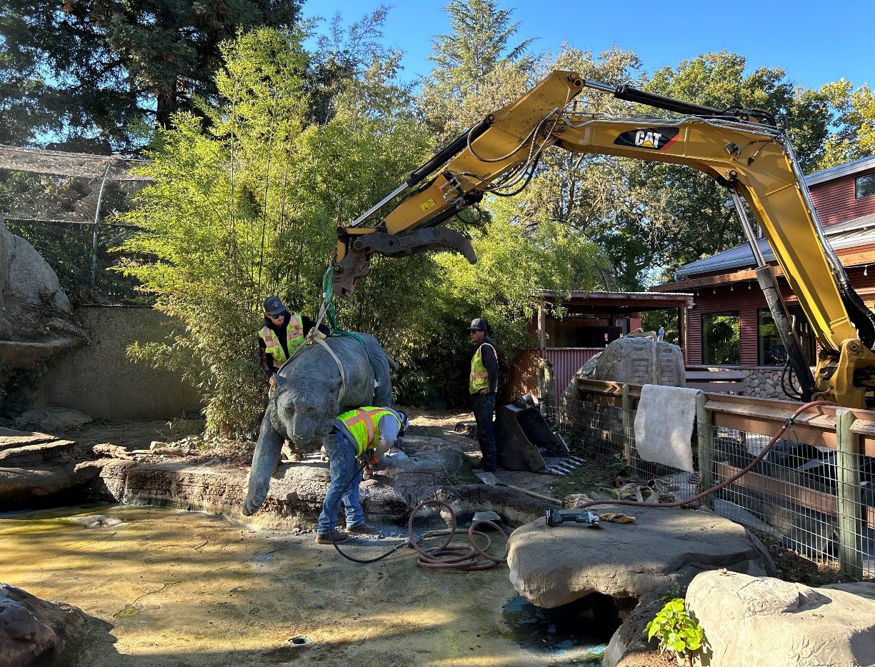 Bronze tiger sculpture relocated at Charles Paddock Zoo