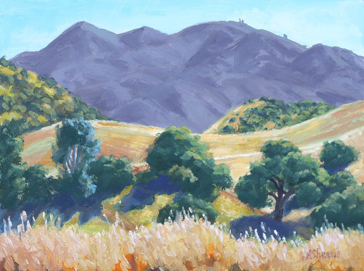 'Colors of Conservation' art exhibit set for August in San Luis Obispo