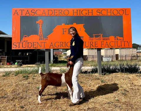Local community rallies around Atascadero FFA students after car accident