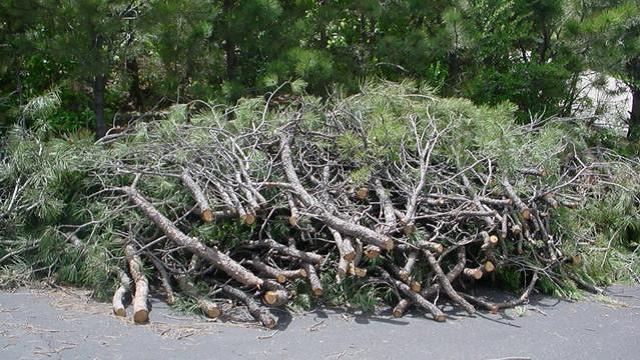 Wood Chipping Program Returns to Atascadero