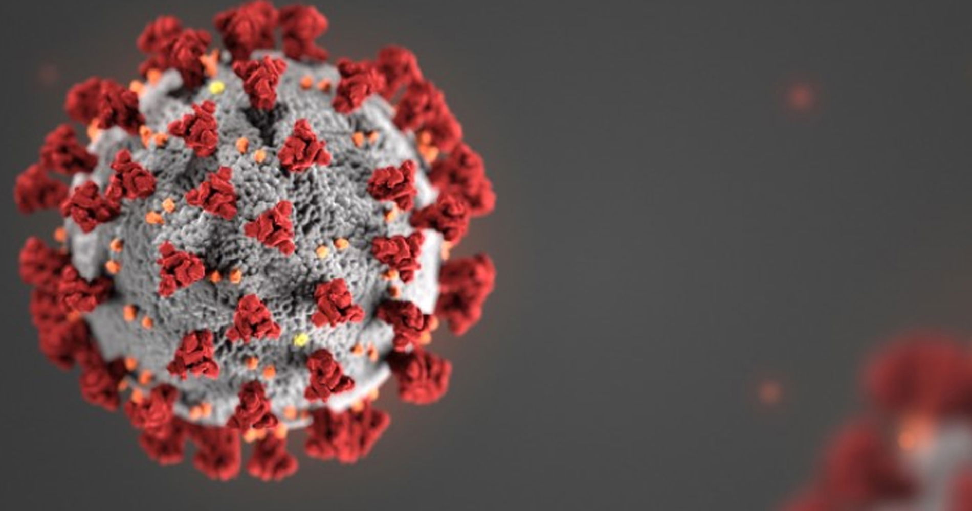 Reflecting on the pandemic