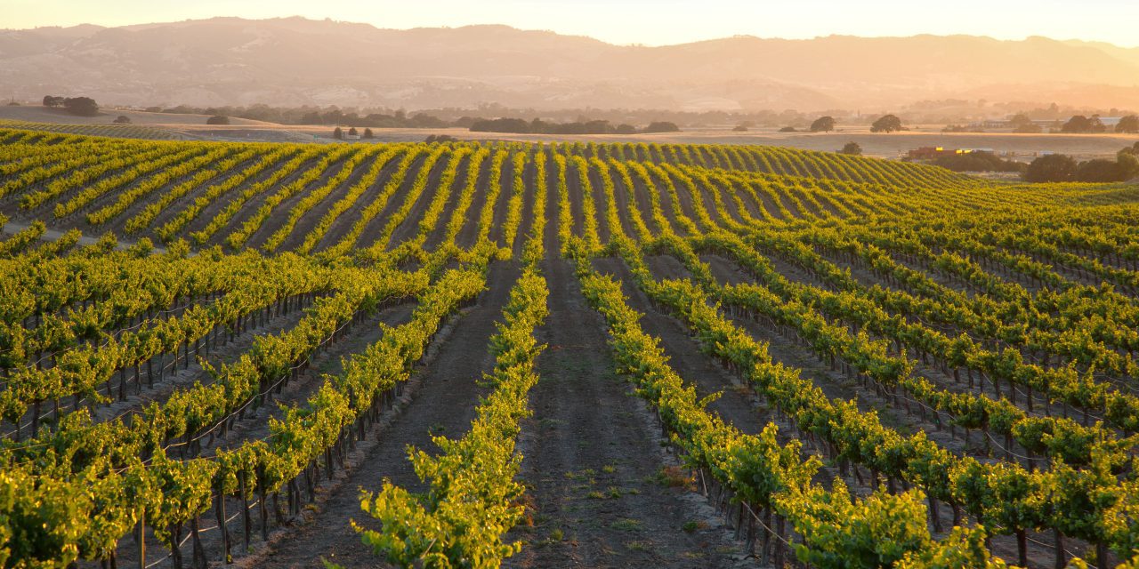 SLO County Farm Bureau Women’s Member of the Month: Susan Wilber