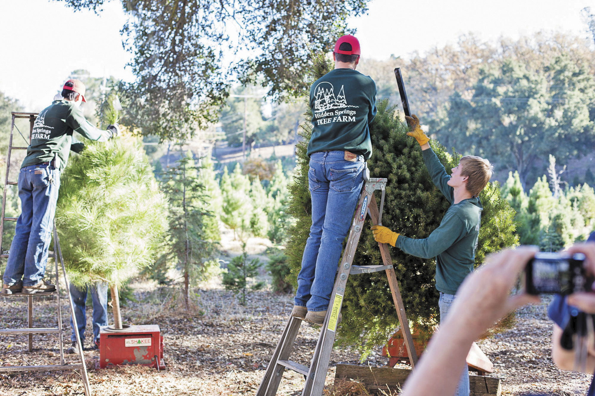 42 New Girl Scout Badges Announced
