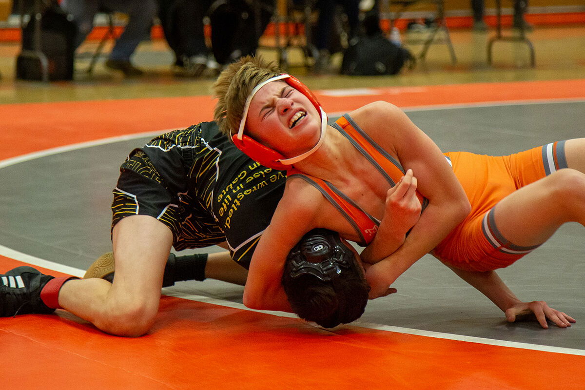 Greyhounds Pin Tigers