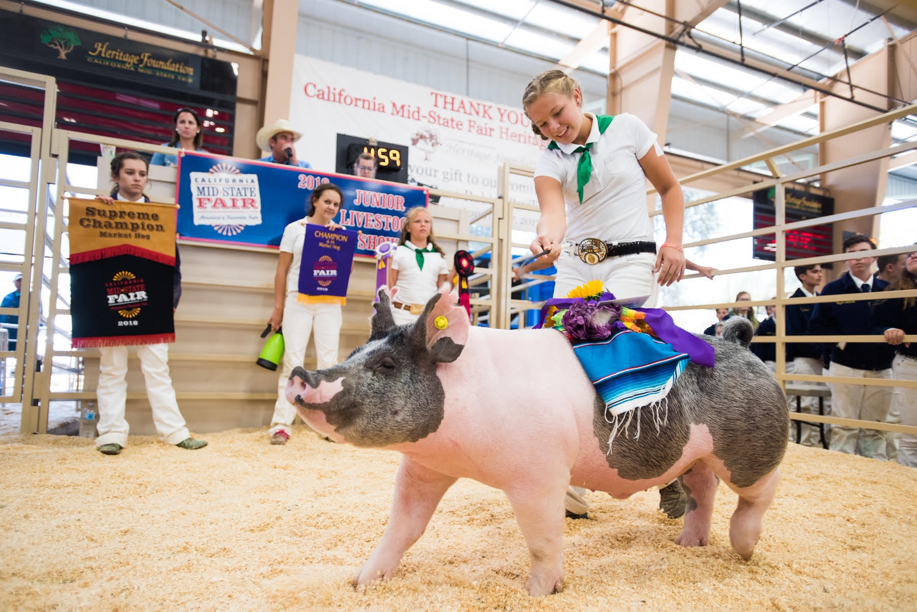 California Mid-State Fair Livestock Auction Will Be Virtual