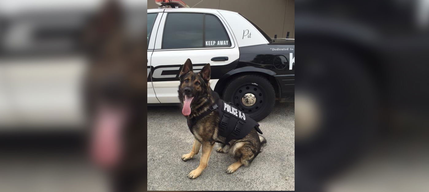 The Passing of Atascadero Police K-9 “Pit”