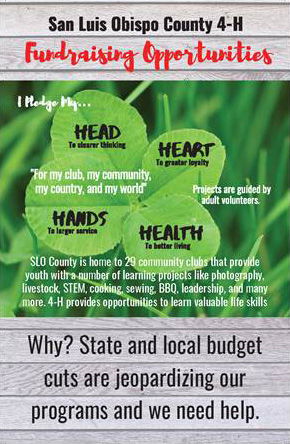 SLO County 4-H Trying to Fill Budget Gap with Three Fundraisers