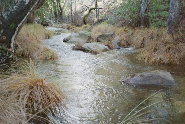 Atascadero Creek Clean-Up