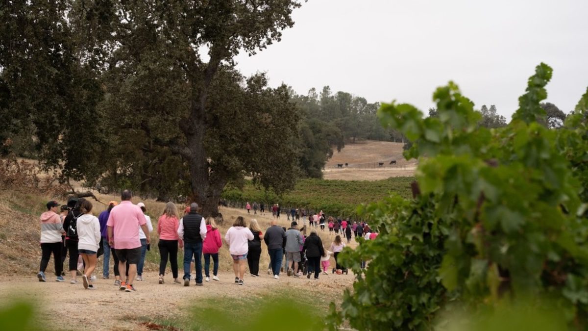 Join Cancer Support Community for 3rd Annual Walk for Cancer at Santa Margarita Ranch