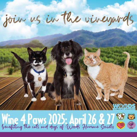 SLO County Wine Country raises a glass&nbsp;to&nbsp;pets in need at&nbsp;17th&nbsp;Annual Wine 4 Paws