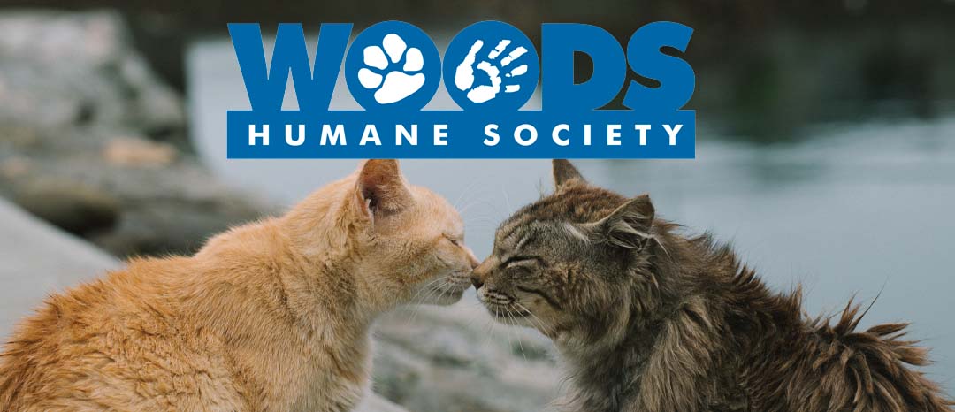 Woods Humane Society launches Giving Tuesday match challenge
