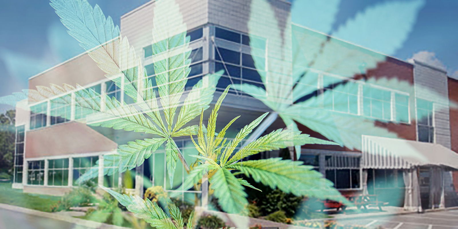 Realtors® Say Pot Equals "Hot"