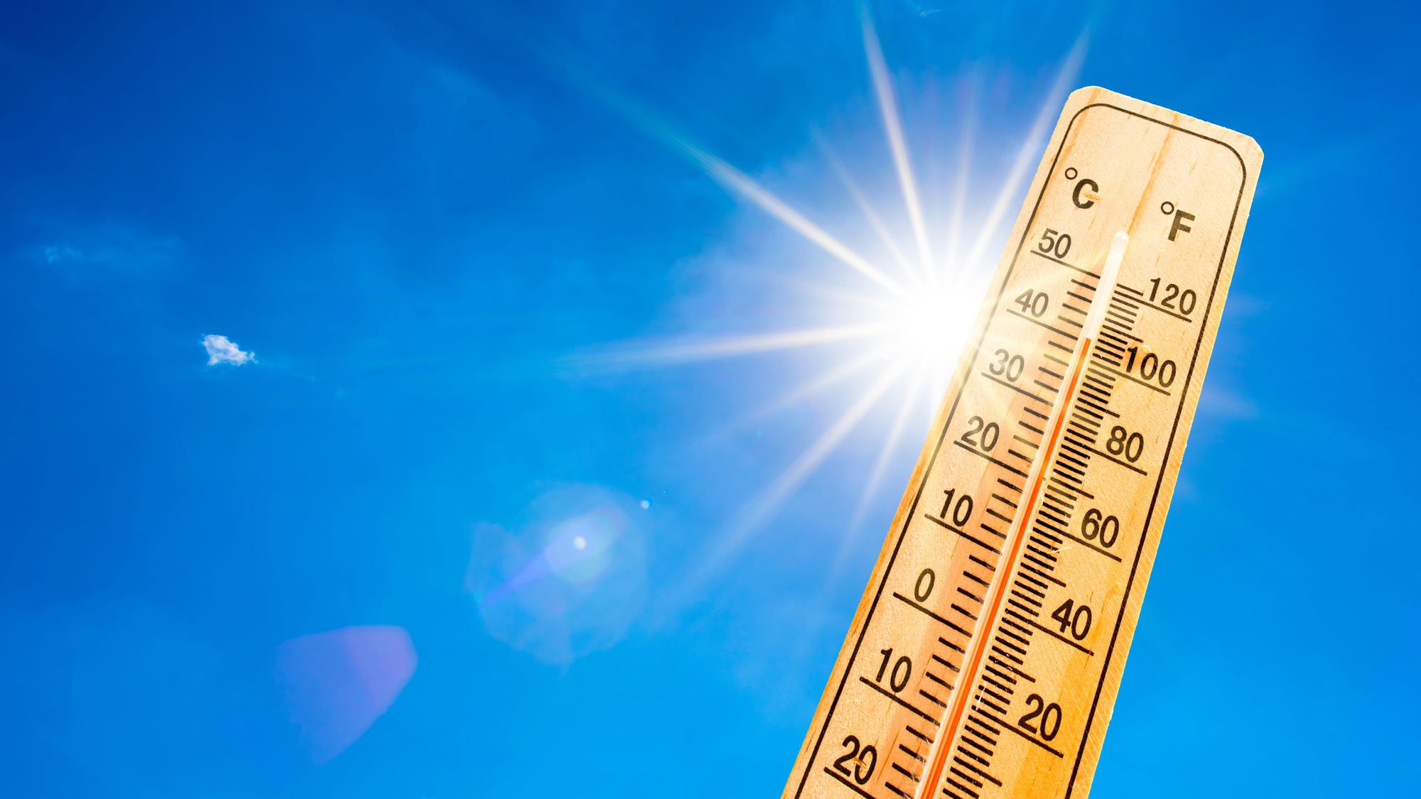 Excessive Heat Warning in Effect for the Weekend