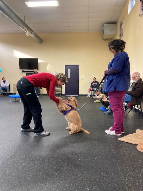 Woods Humane Society Expands Dog Behavior and Training Program