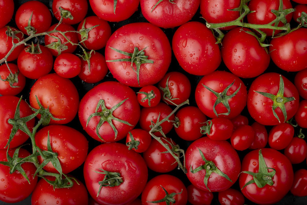 Fresh tomatoes and farmer's markets