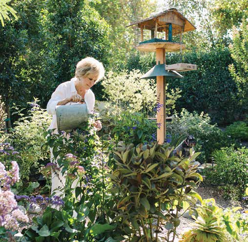A Luscious Landscape: Sandy Hill's Garden Oasis