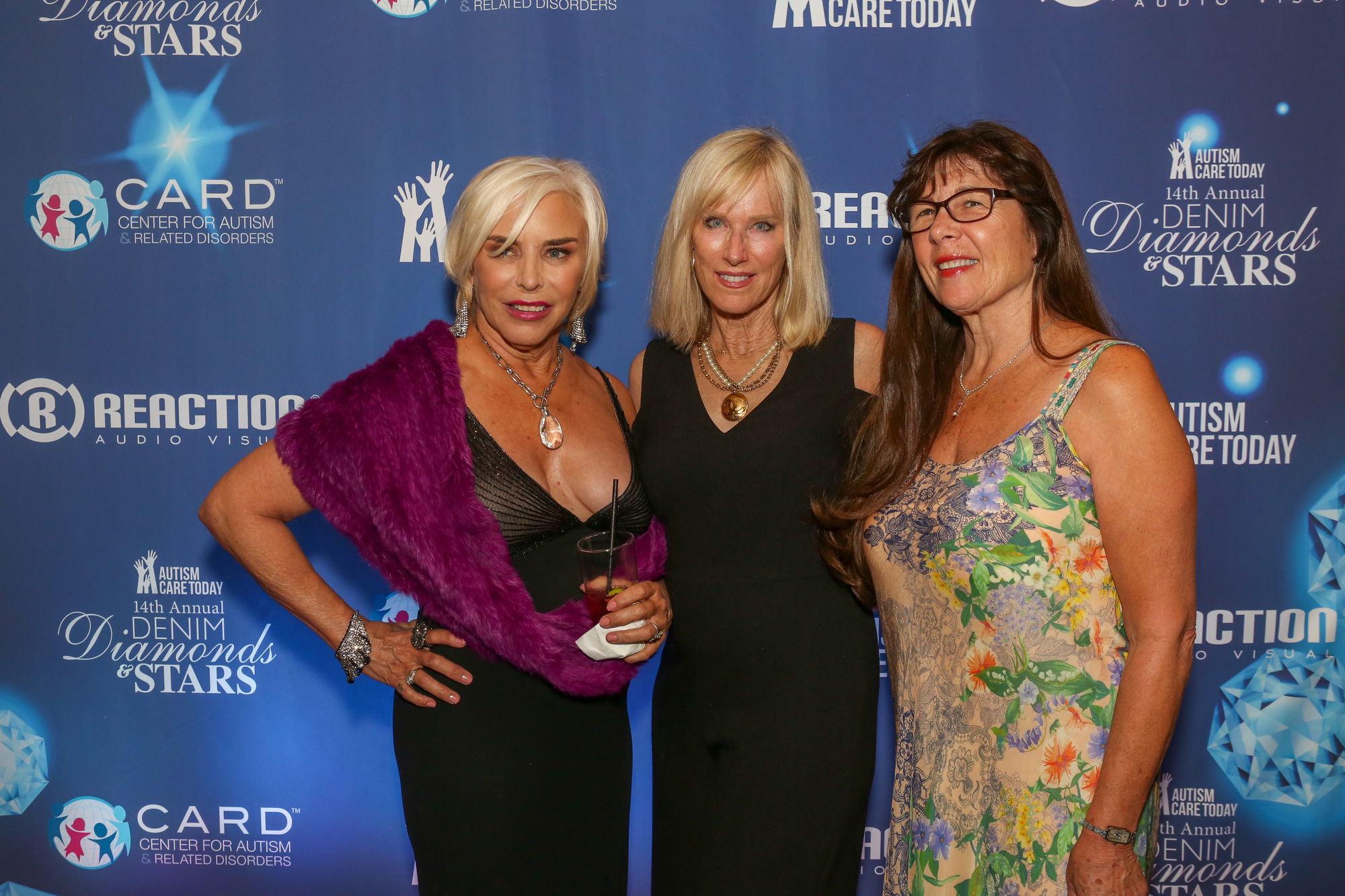 14th Annual Denim, Diamonds, and Stars Gala
