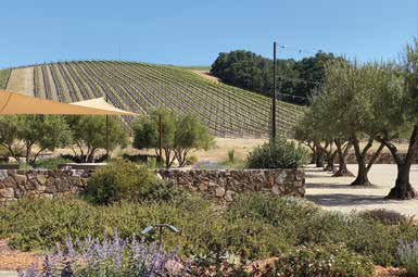 Enjoying Paso Robles