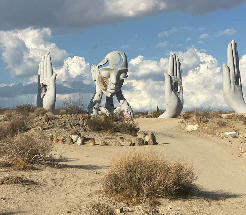 The Allure of Joshua Tree