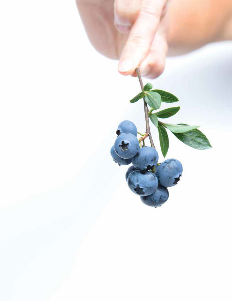 The Health Benefits of Blueberries