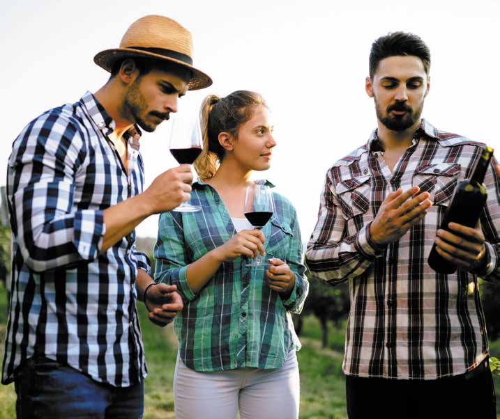Unveiling the Intriguing World of Wine