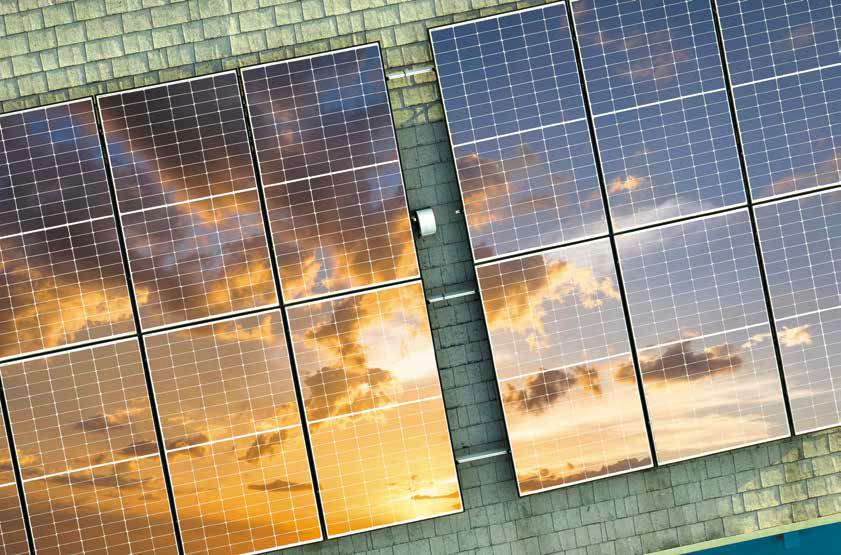 Sustainable Living: Making Your Home Eco-Friendly