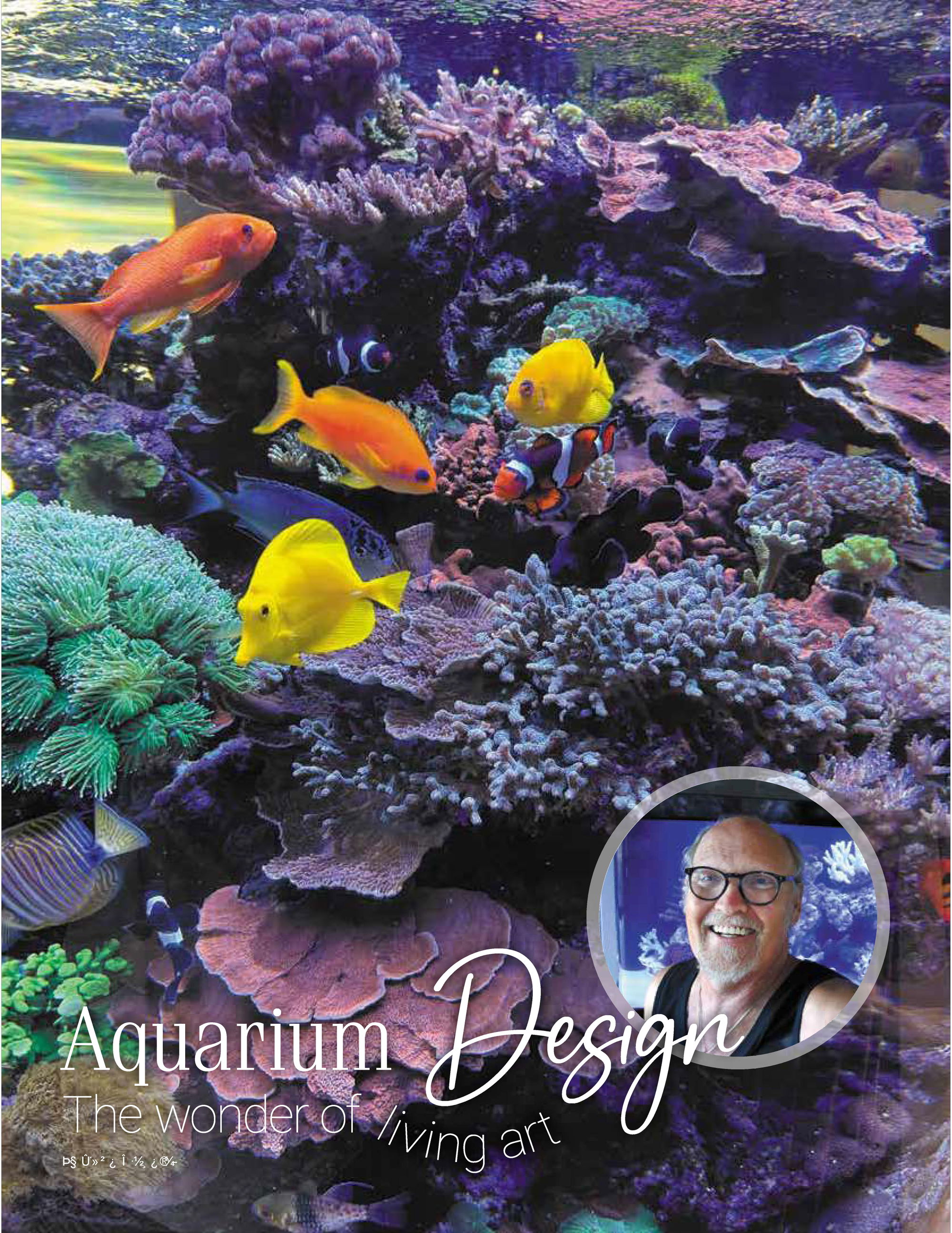 The Wonder of Living Art: Aquarium Design