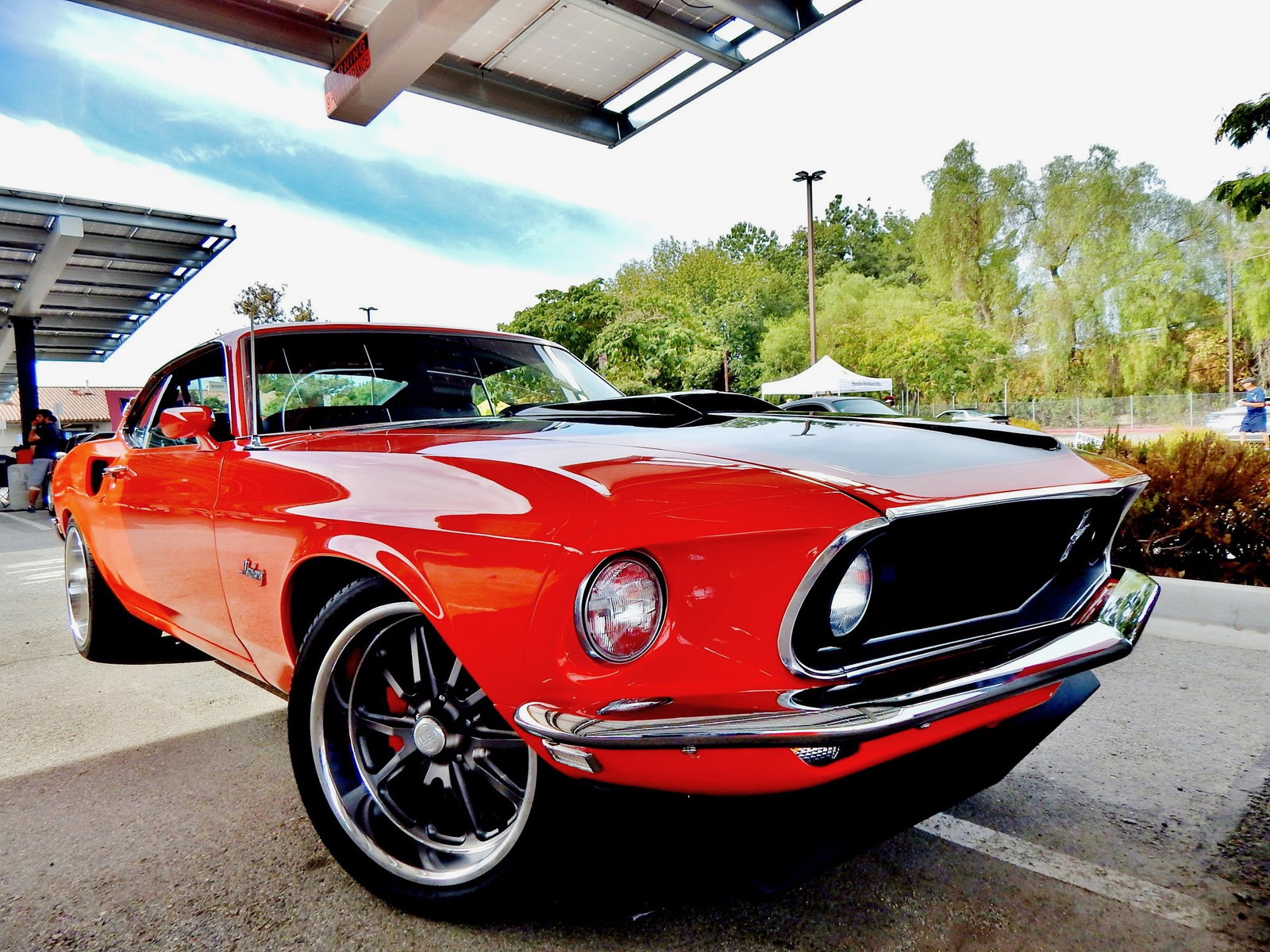 Car Collecting