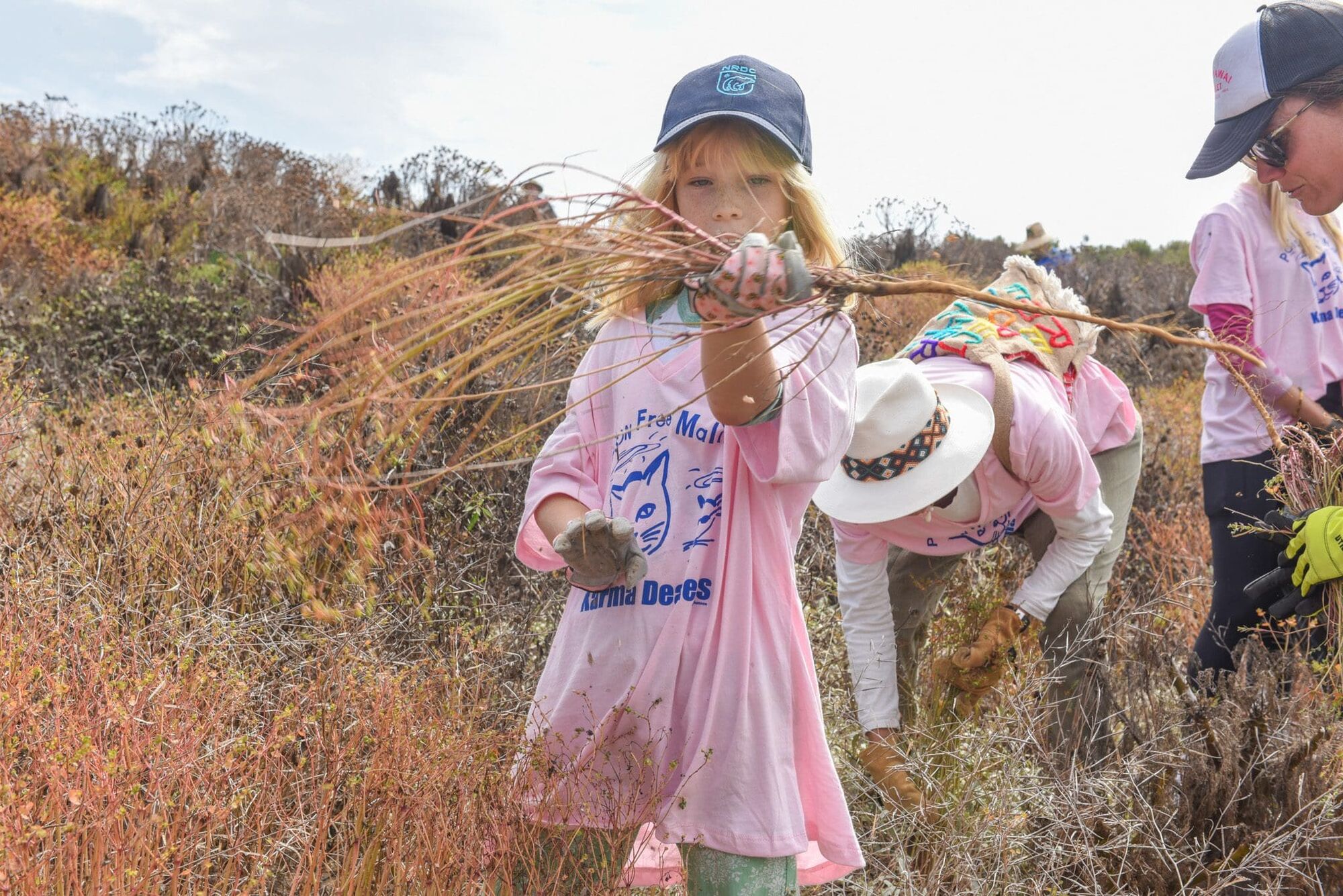 Calendar for the week of June 6