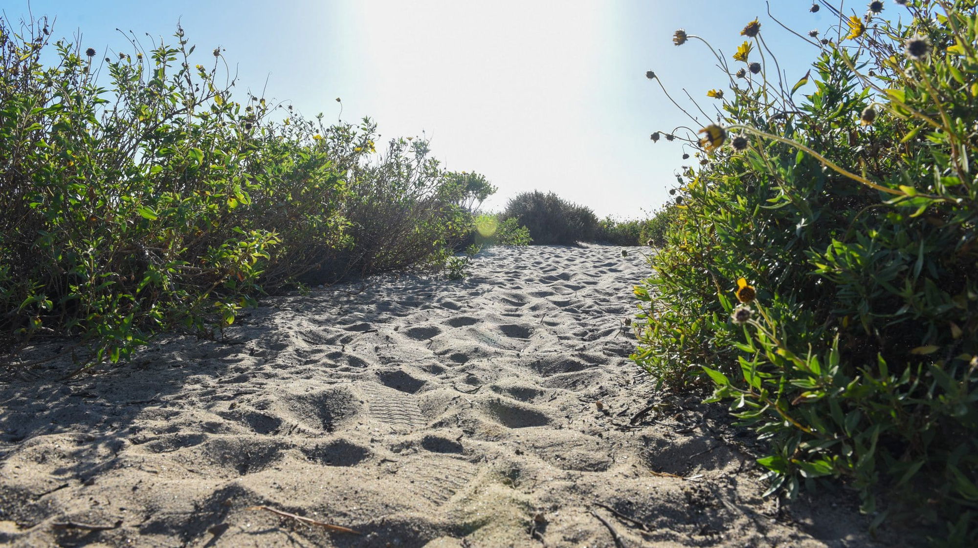 How to celebrate Earth Month in Malibu